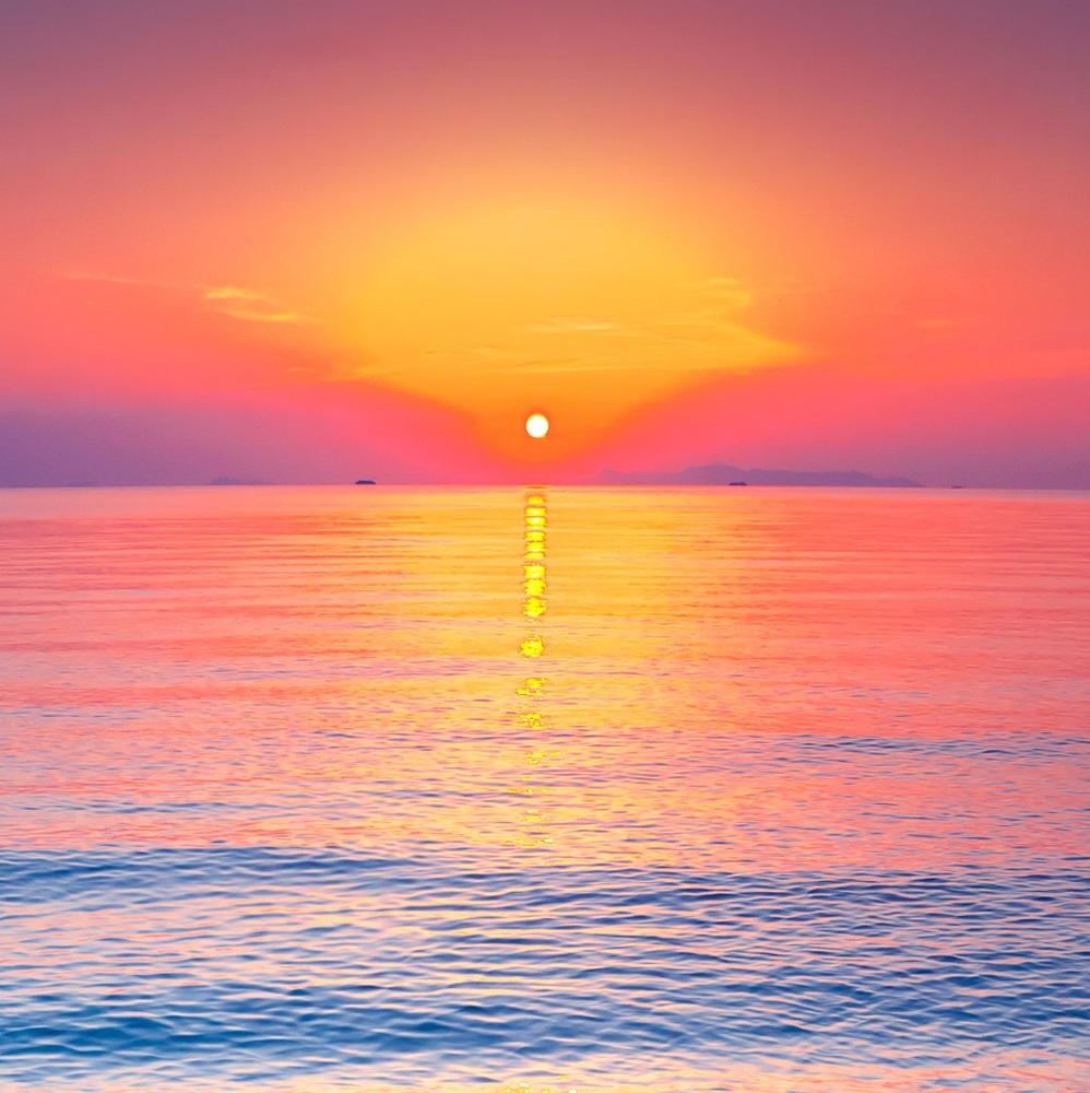 Meet your Posher, Tee